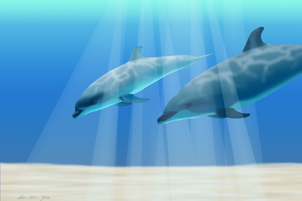 Dolphin2/10