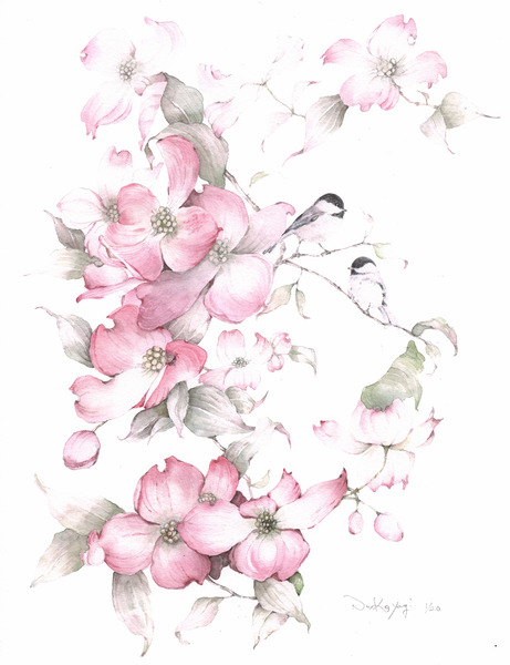 植物画 ピンクのハナミズキと小鳥 1 なお子 Art Meter