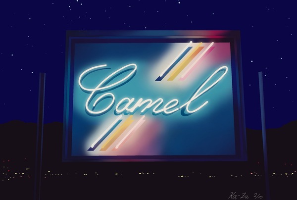 Camel2/10