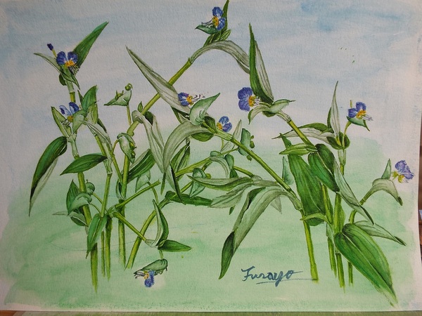 露草」 by ふさよ｜Artmeter｜暮らしを彩るアートが、きっと見つかる