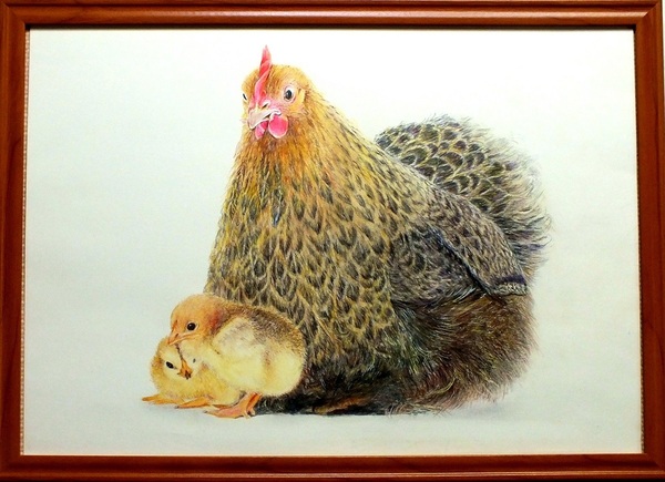 親子の鶏」 by HIROKI｜Artmeter｜暮らしを彩るアートが、きっと見つかる