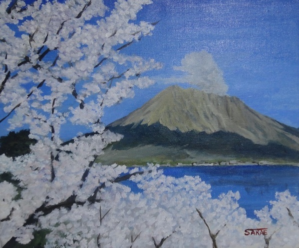 桜咲く桜島」 by SAKAE｜Artmeter｜暮らしを彩るアートが、きっと見つかる