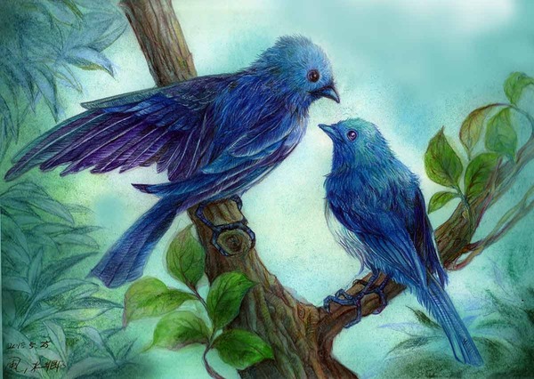 Blue Birds