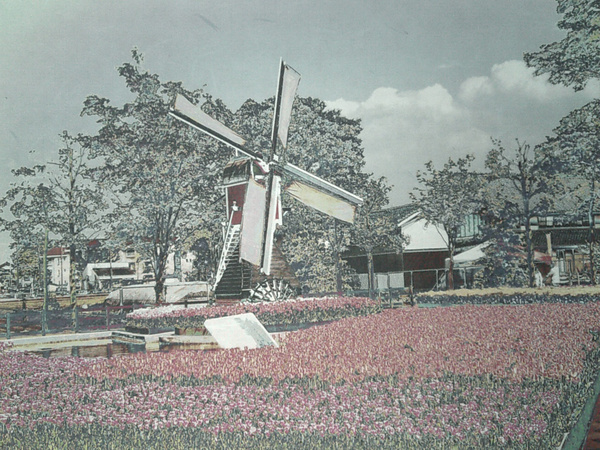 風車とチューリップ畑の油彩画 チューリップ畑の風車」 by KAZ｜Artmeter｜暮らしを彩るアートが