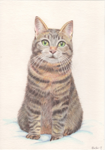 水彩画　原画　「おすまし猫」 おすましする猫」 by Emiko｜Artmeter｜暮らしを彩るアートが