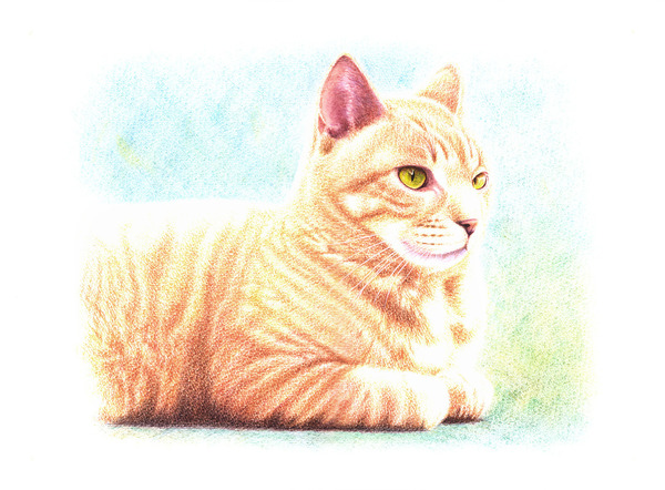 サバトラ猫・1」 by 吉 比古｜アート・絵画の販売(通販)サイト 