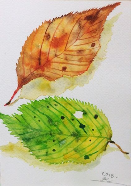 静物画 落ち葉 Kt Bird Art Meter