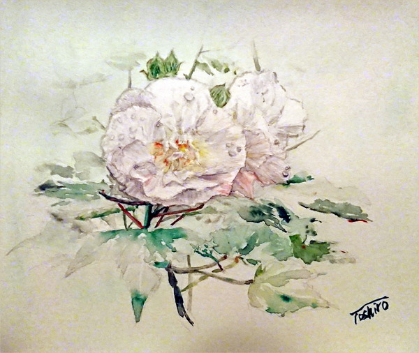 画 酔芙蓉 Toshiro Art Meter 画 酔芙蓉 Toshiro Art Meter