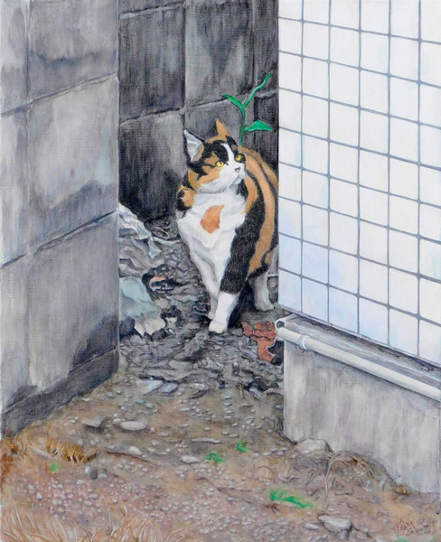 散歩