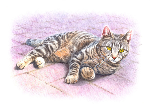 キジトラ猫・3