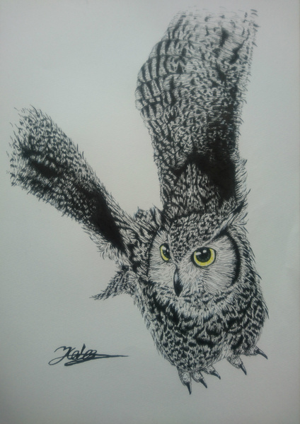 イラスト画 フクロウ 多田文昭 Art Meter イラスト画 フクロウ 多田文昭 Art Meter