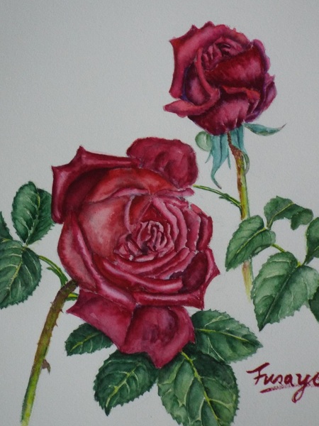 薔薇