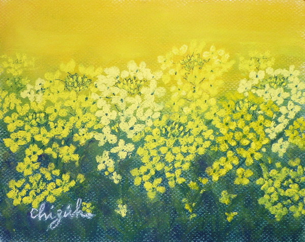Cute画 菜の花畑 Chizuko Art Meter