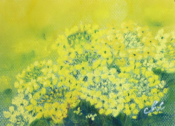 Cute画 菜の花 Chizuko Art Meter