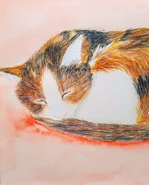 Cute画 寝子 Shumei Art Meter Cute画 寝子 Shumei Art Meter