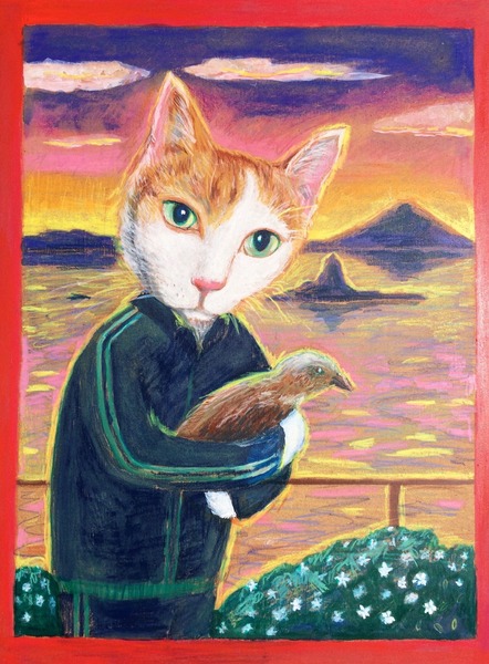 ジャージー猫
