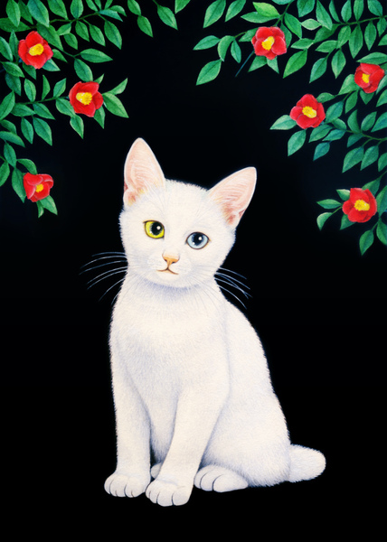猫画 椿 北原佳 Art Meter 猫画 椿 北原佳 Art Meter