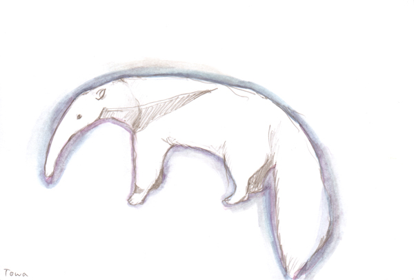 anteater