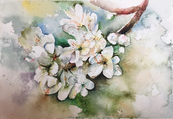 白桜」 by 暁絵｜アート・絵画の販売(通販)サイト Artmeter - 国内最大