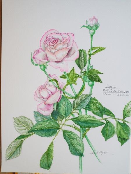 専用品稀少☆ひいらぎとパイン＆薔薇の浪曼ティックライト4花