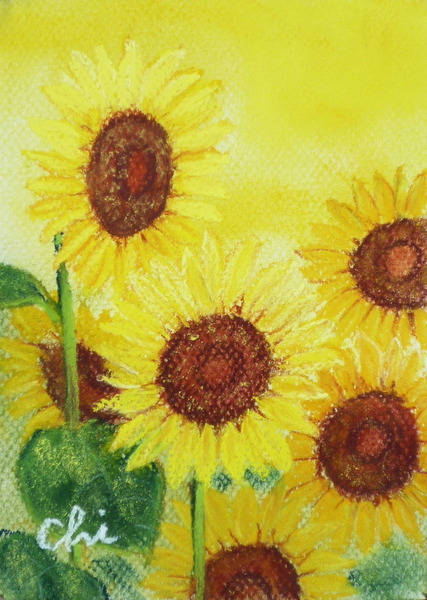 Cute画 向日葵s Chizuko Art Meter Cute画 向日葵s Chizuko Art Meter