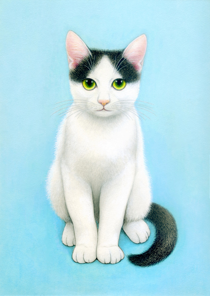 猫画 シロクロ猫 北原佳 Art Meter