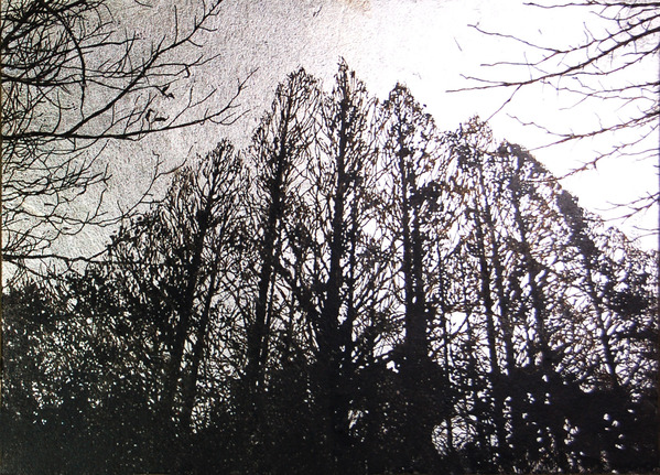 Tree IV (1/300)