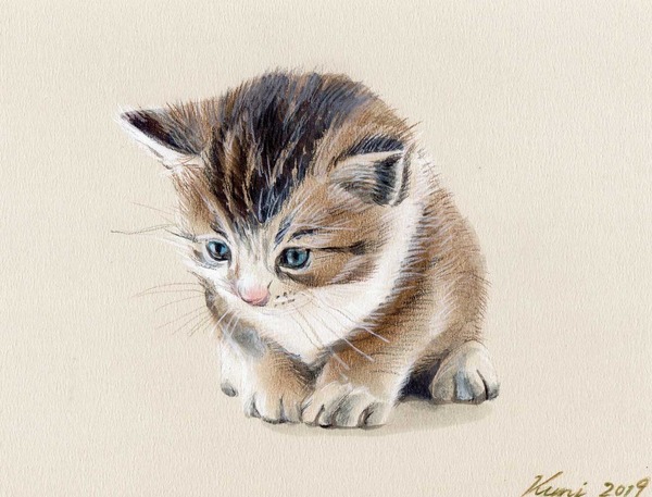 子猫」 by kuni｜Artmeter｜暮らしを彩るアートが、きっと見つかる
