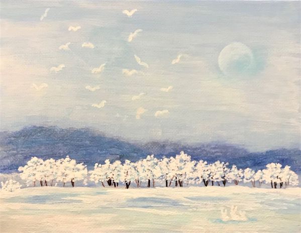 月の残る雪原