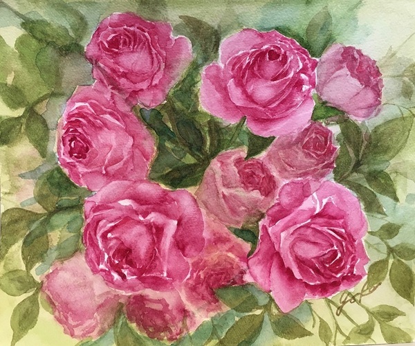 薔薇3