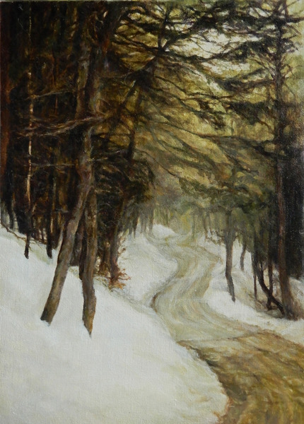 Snowy road