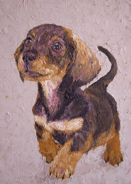 ダックス子犬 #  ｜アート・絵画の販売通販サイト