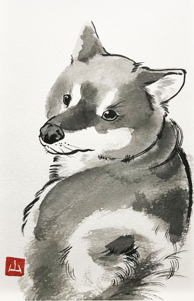 犬画 柴犬 山谷悠地 Art Meter 犬画 柴犬 山谷悠地 Art Meter