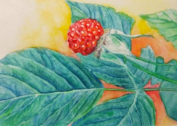 風景画 野いちご 池田 菜摘 Art Meter
