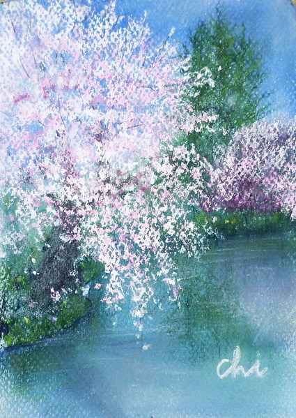 風景画 水辺の桜s Chizuko Art Meter