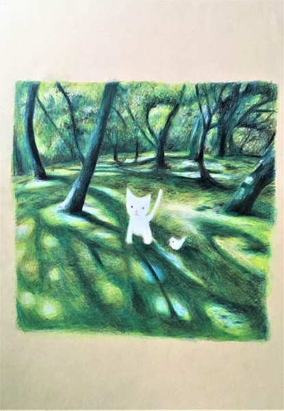 木漏れ日と白い猫