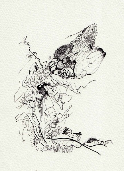 image4