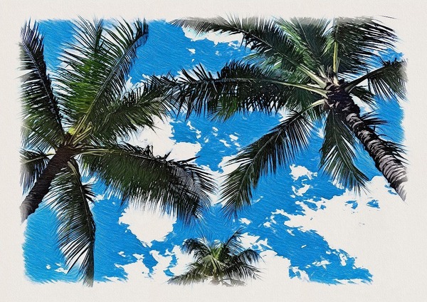 海画 ヤシの木 2 10 あかいまる美 Art Meter 海画 ヤシの木 2 10 あかいまる美 Art Meter