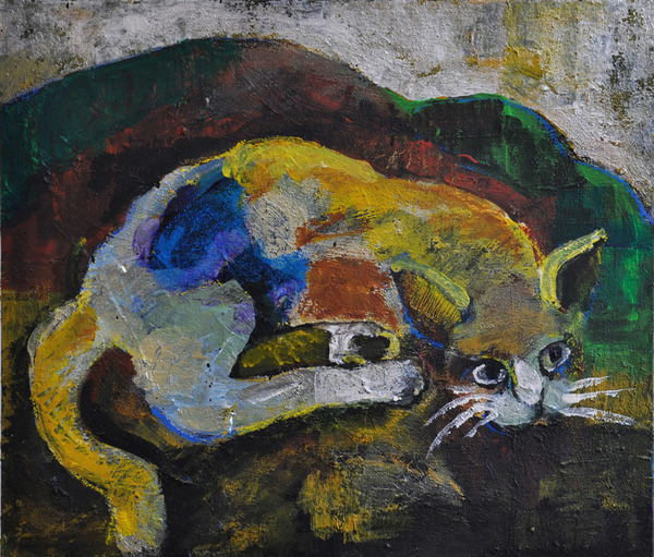 山猫