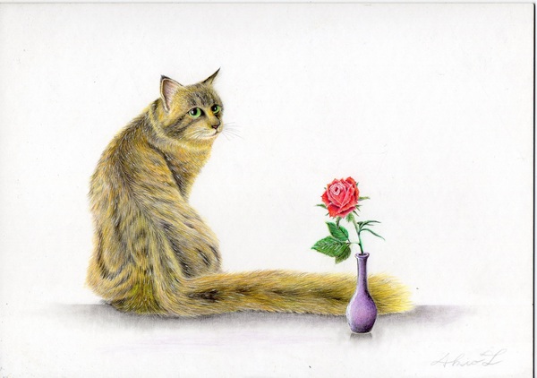 猫と薔薇