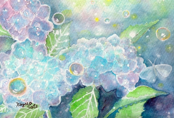 シャボン玉と紫陽花