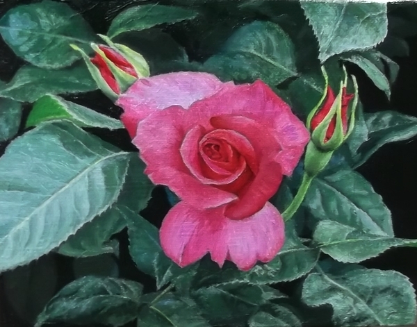 バラ」 by プーさん｜Artmeter｜暮らしを彩るアートが、きっと見つかる