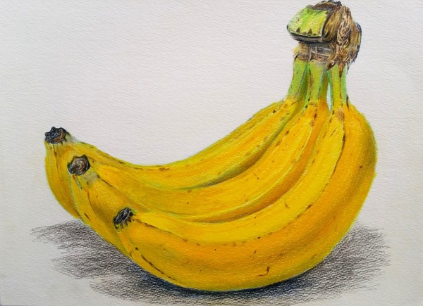 静物画 バナナ一房 池田 菜摘 Art Meter 静物画 バナナ一房 池田 菜摘 Art Meter