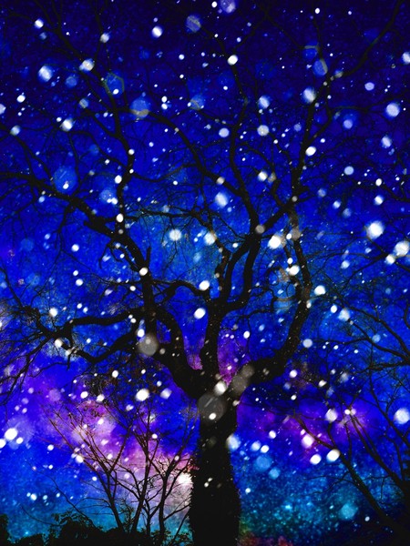 植物画 雪降る夜に 1 3 Moe Art Meter 植物画 雪降る夜に 1 3 Moe Art Meter