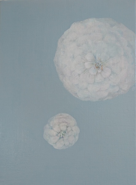 たゆたうかけら