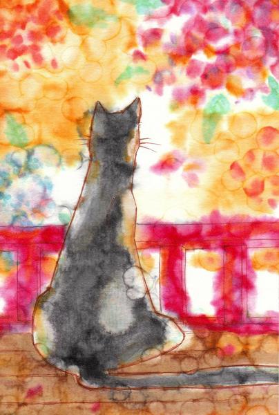 紫陽花猫