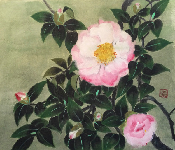 山茶花