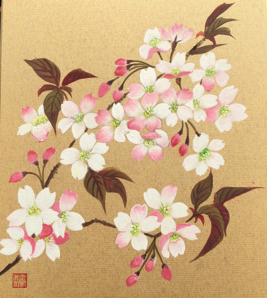 桜