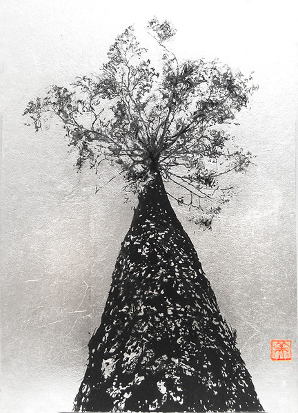 Tree IX (複製)