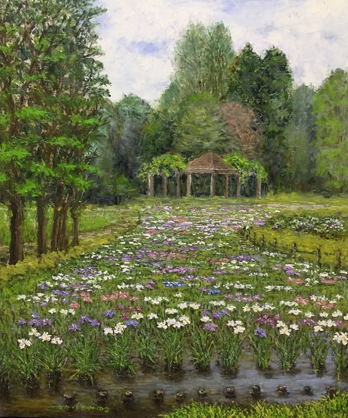 静物画 水元公園 みのみの Art Meter 静物画 水元公園 みのみの Art Meter